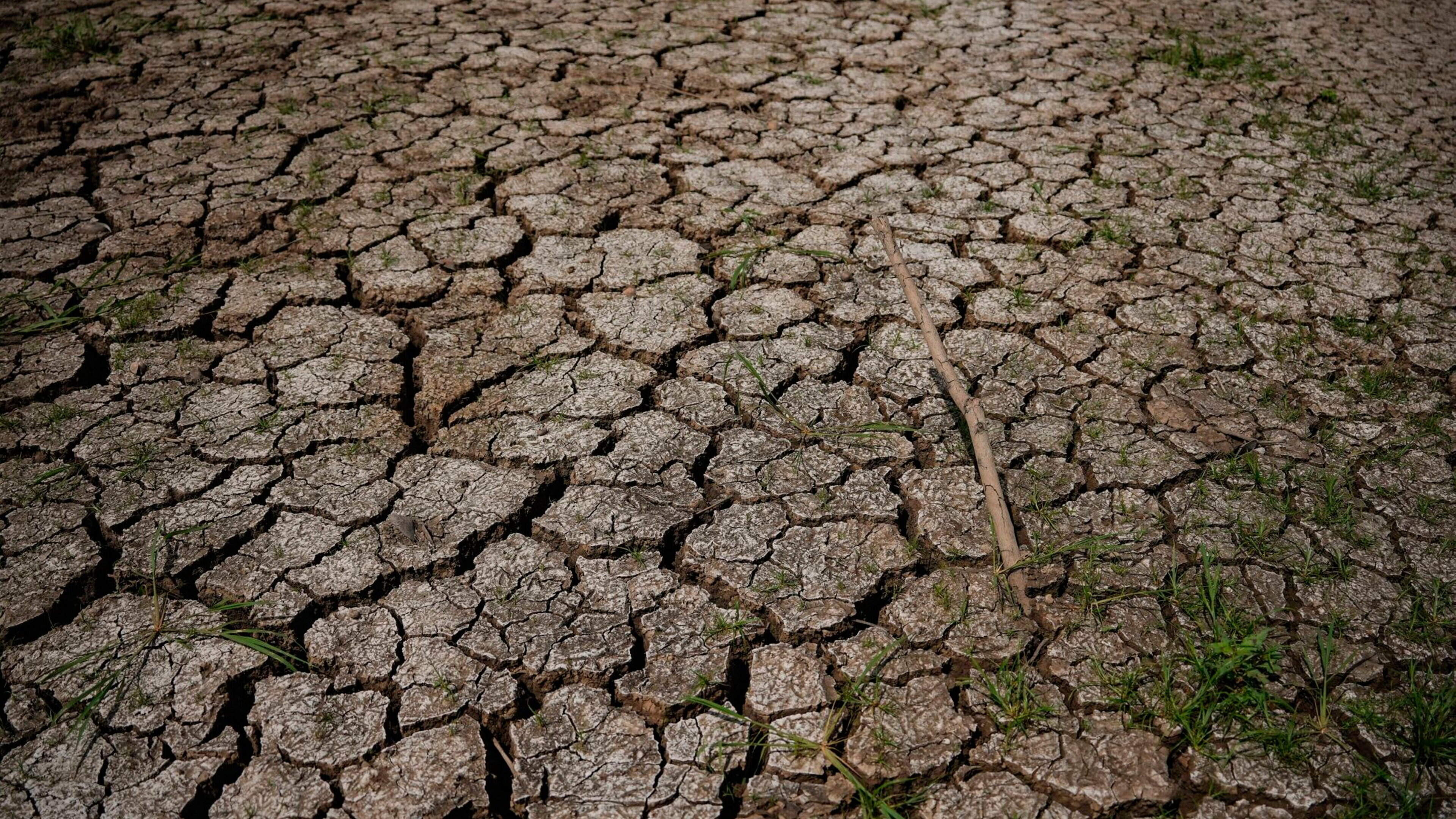 El Niño likely to strengthen further and persist into 2027, UN climate agency warns